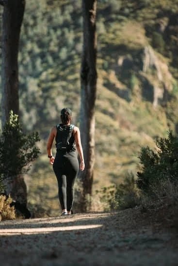What Certification Is Needed To Be A Personal Trainer 2 what certification is needed to be a personal trainer