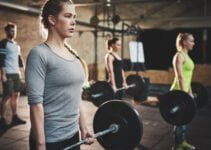 Personal Trainer Cost Snap Fitness