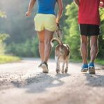 Thanksgiving Fitness Motivation Quotes Get active this Thanksgiving with inspiring fitness quotes for motivation and gratitude