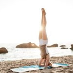 Why Is Health Related Fitness Important in Designing Exercise Program Importance of health-related fitness in exercise program design: achieving overall wellness and fitness goals